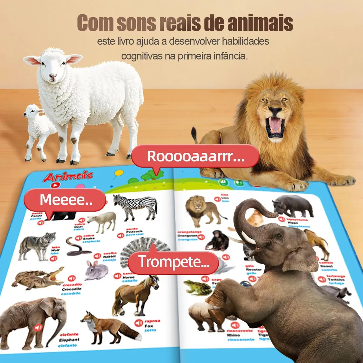 Funcionalidades do livro